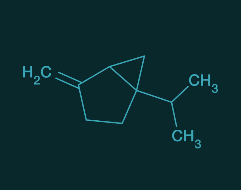 Sabinene molecular structure
