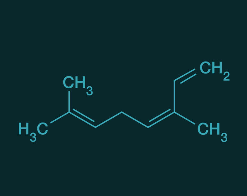 Trans Beta Ocimene molecular structure