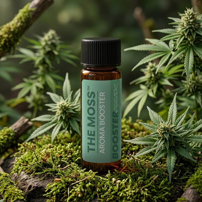 Aroma Booster | CDT Kit