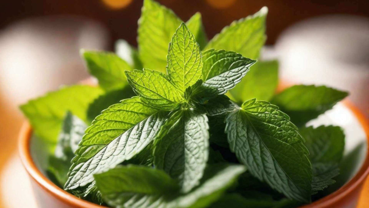 Peppermint