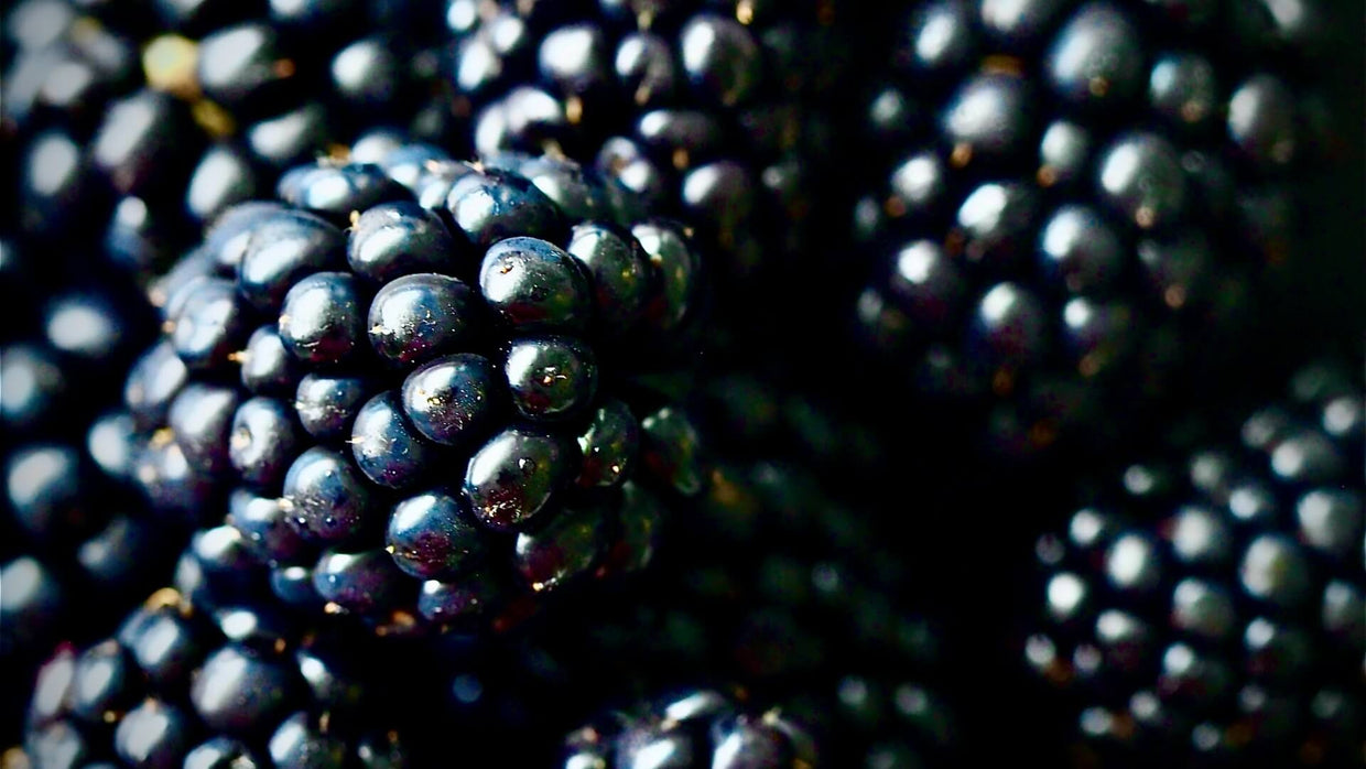 Blackberry