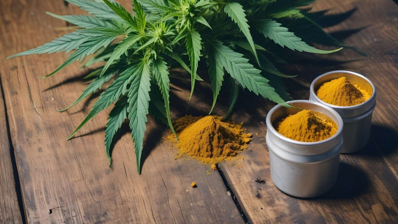 Durban Nutmeg