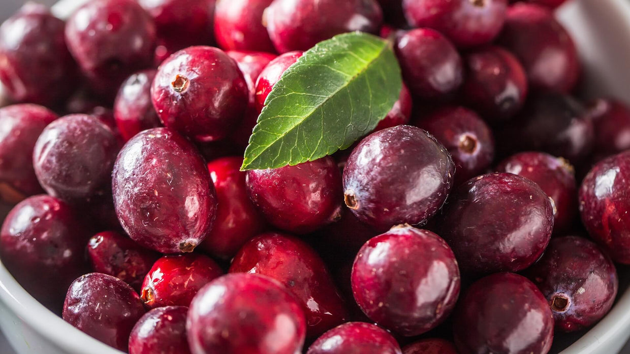 Cranberry