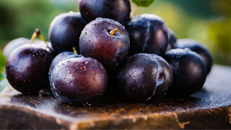Purple Plum