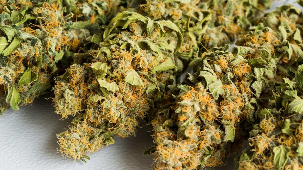 Banana OG