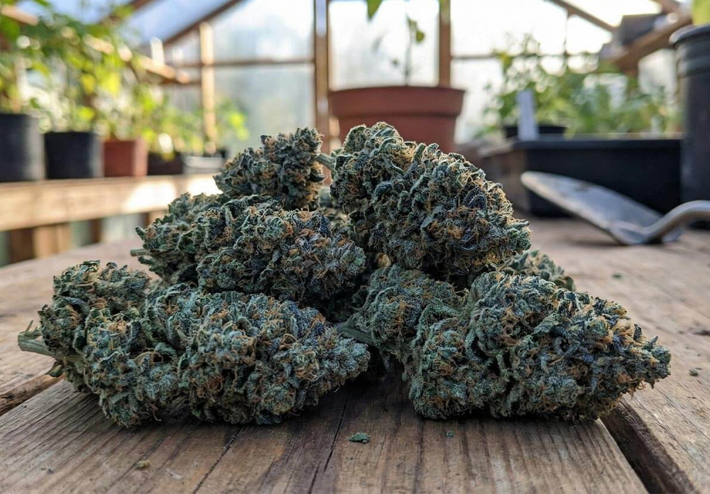The HERB™