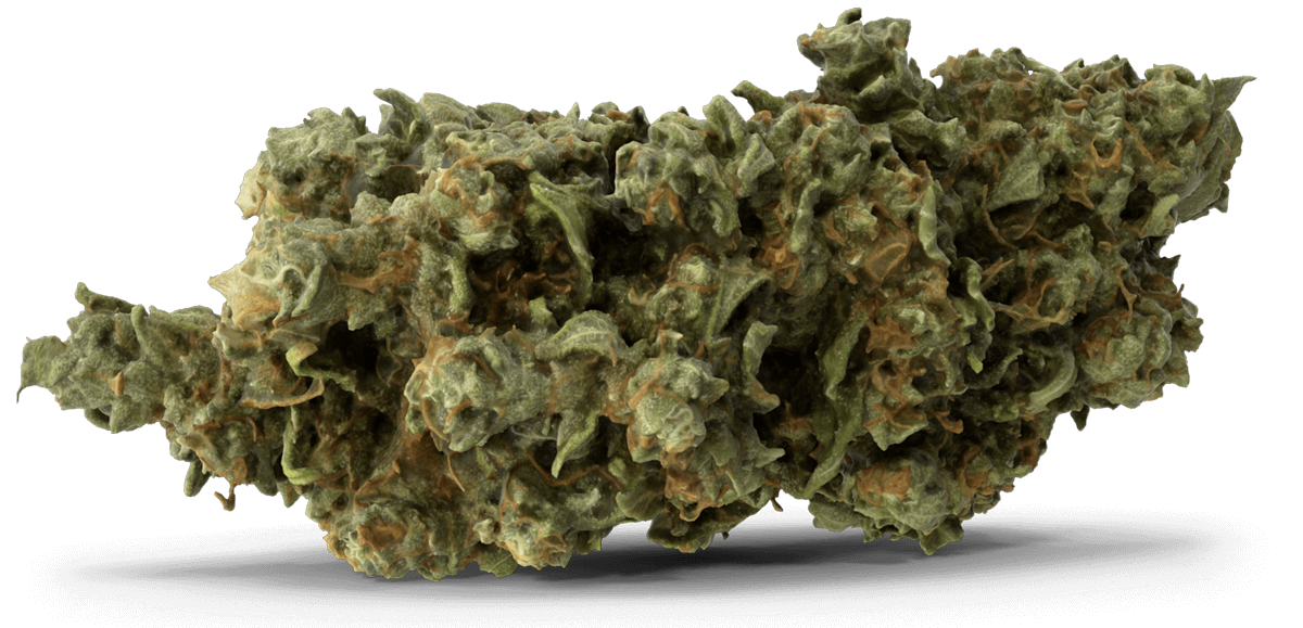 Terpene Derived Cannabis Plant Lab Effects