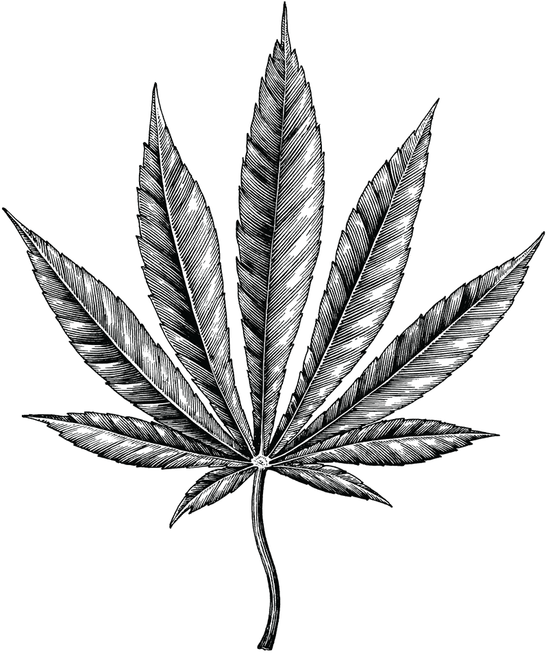cannabis profile matching leaf lab effects