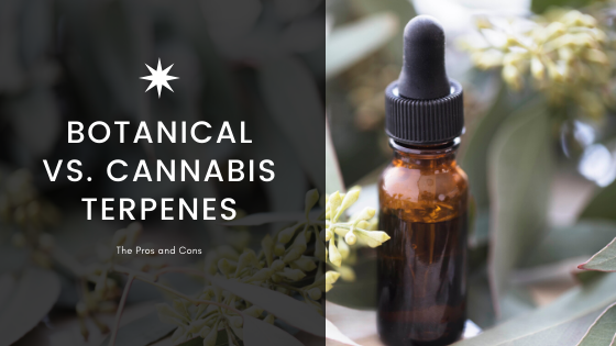 Cannabis Derived Terpenes Vs. Botanically Derived Terpenes