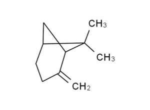 terpene glossary beta pinene molecule lab effects
