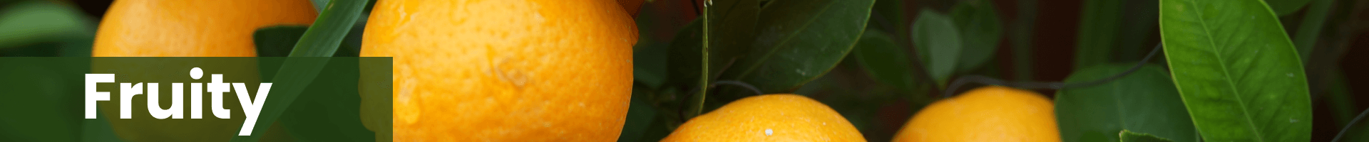 lab effects fruity terpene flavors