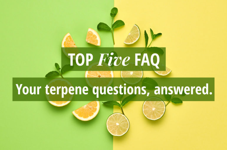 Top Five FAQ: Your Terpene Questions Answered
