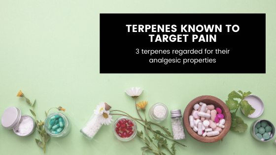 3 Terpenes Known to Target Pain and Inflammation