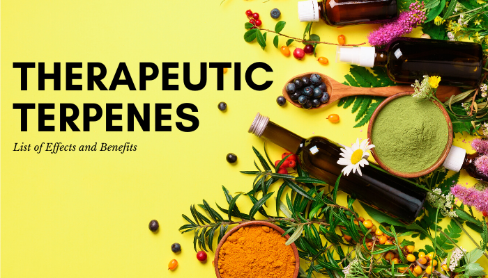 Therapeutic Terpenes List: Their Many Effects and Benefits