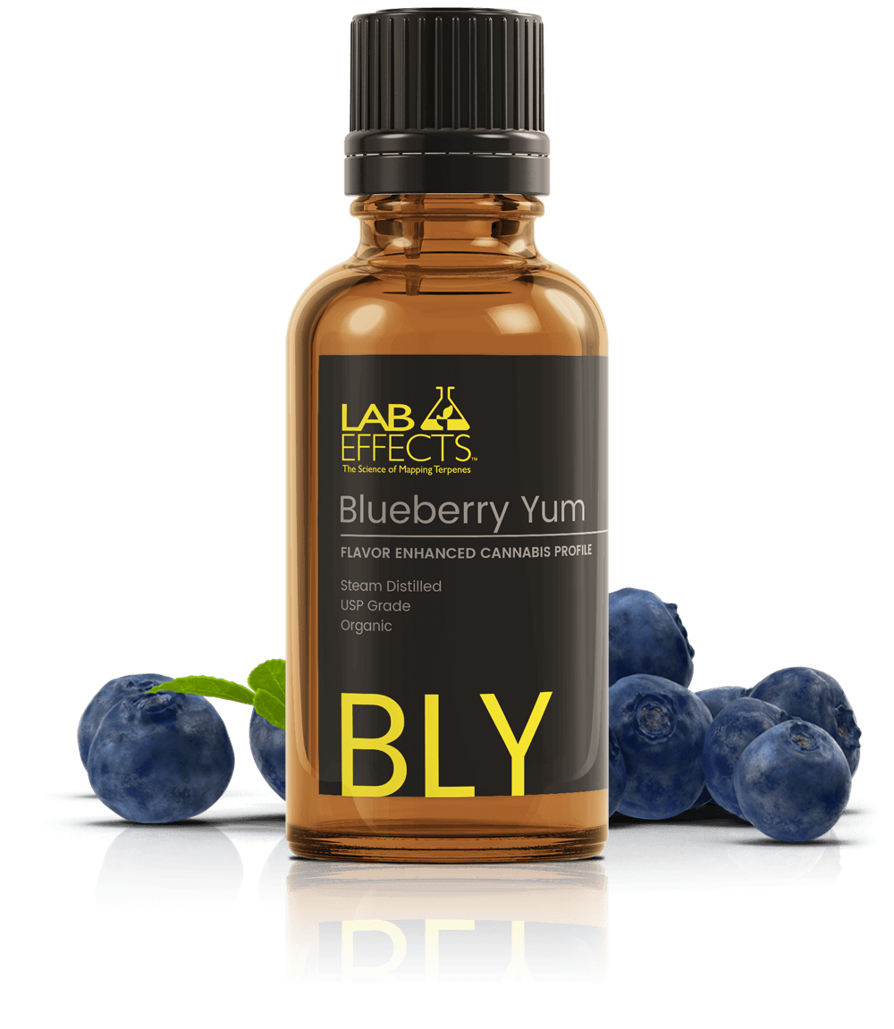 lab effects blueberry yum terpene profile