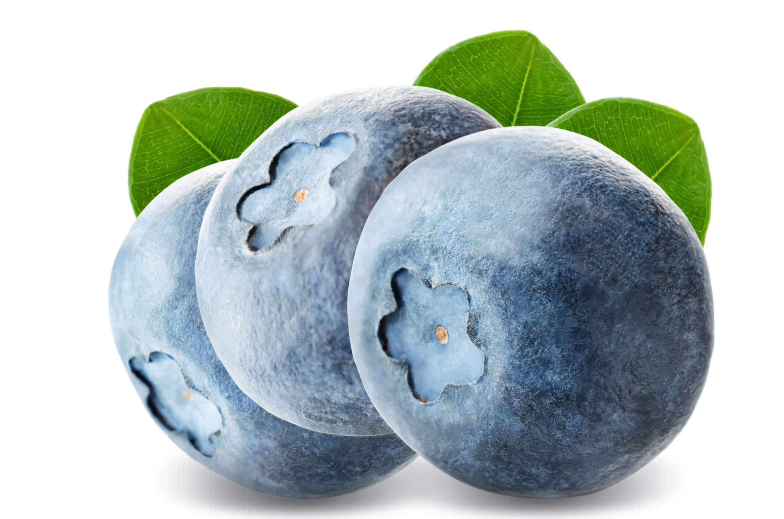 lab effects flavor profiles blueberry yum yum