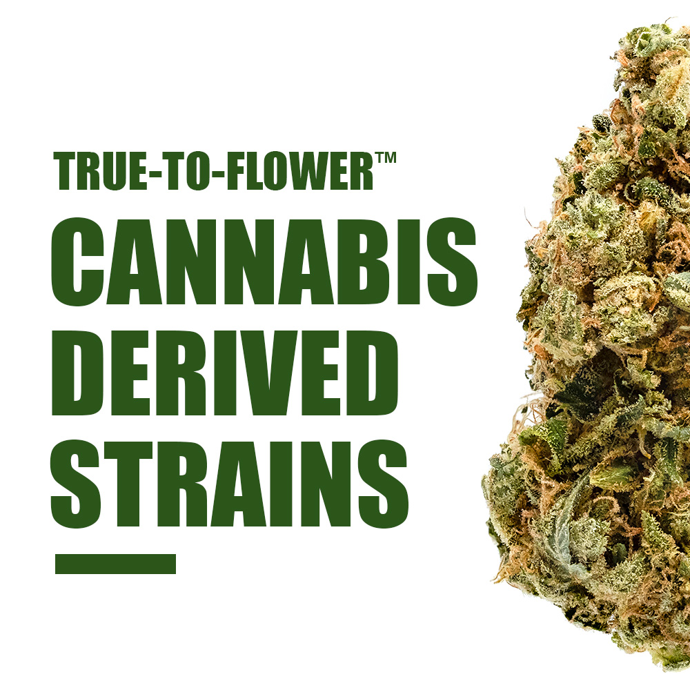 Cannabis Derived Terpene Strains - True To Flower™