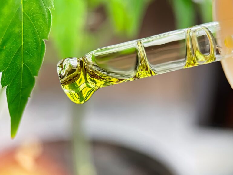 Distillate and Terpenes: everything you need to know