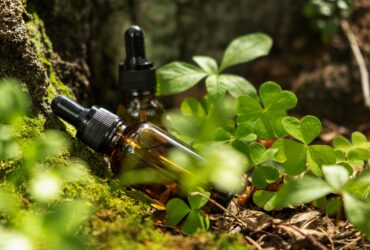 Terpene Infused: A Guide to Enhancing Your Products